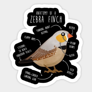 Zebra Finch Anatomy Sticker